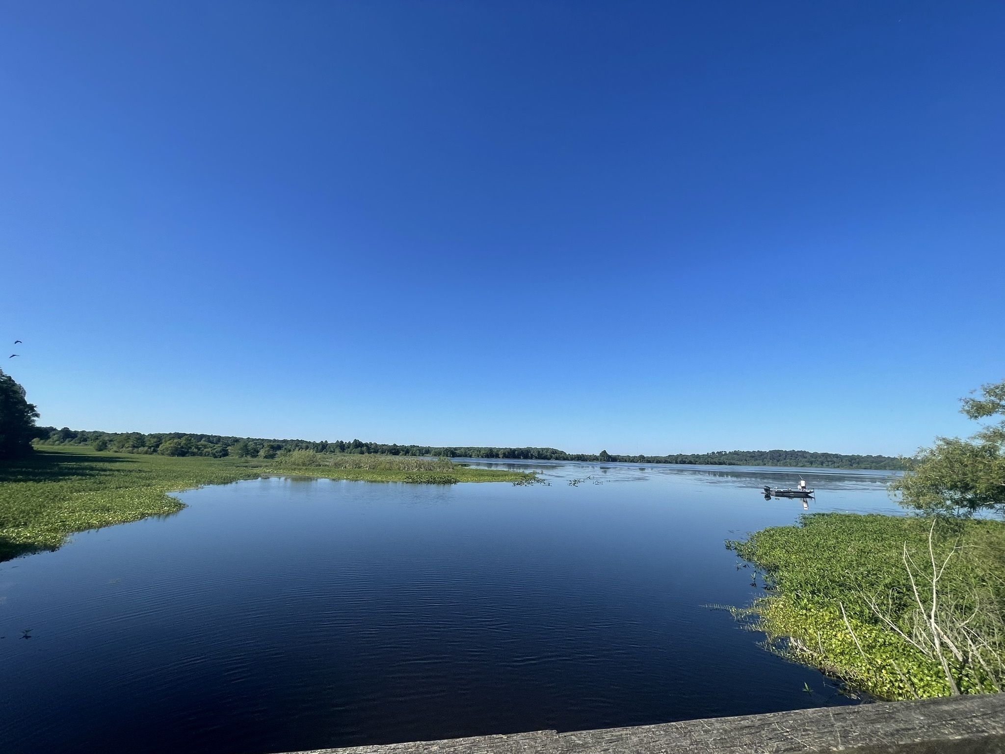 Alligator Lake South Boatramp