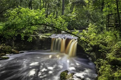 Falling Creek Falls